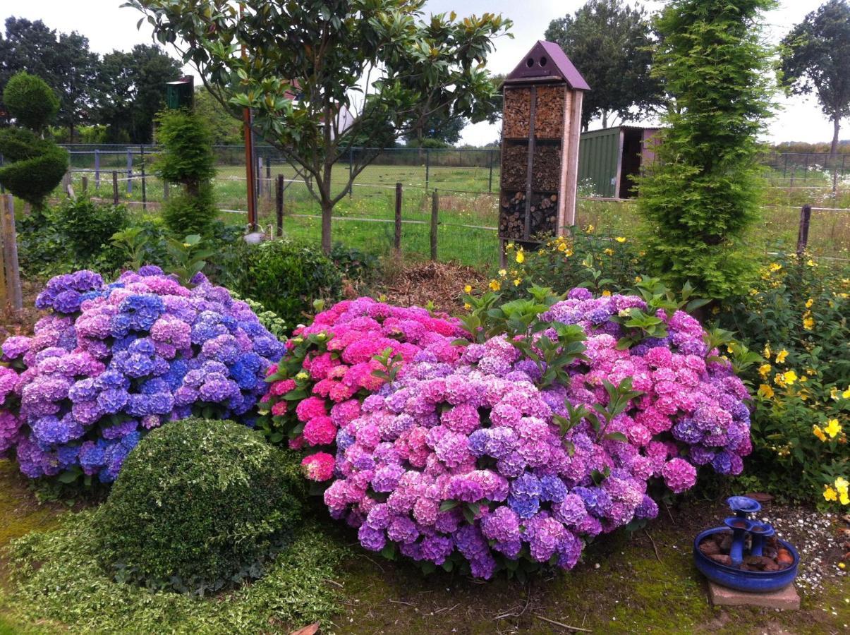 Stevensweert Chalet Or Apartment Nearby Roermond Outlet מראה חיצוני תמונה